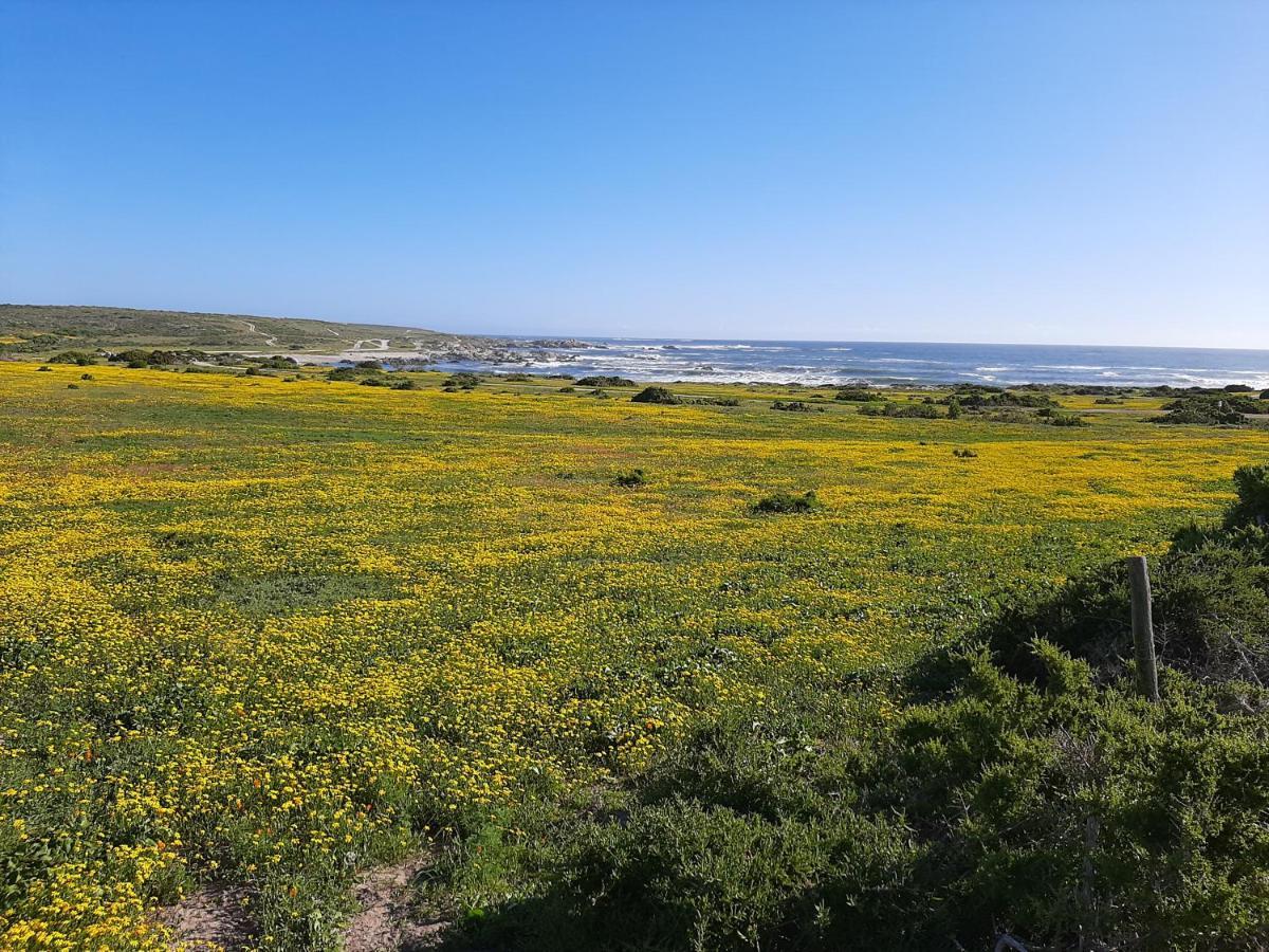 Milk Thistle Loft & Studio Apartments Paternoster Buitenkant foto