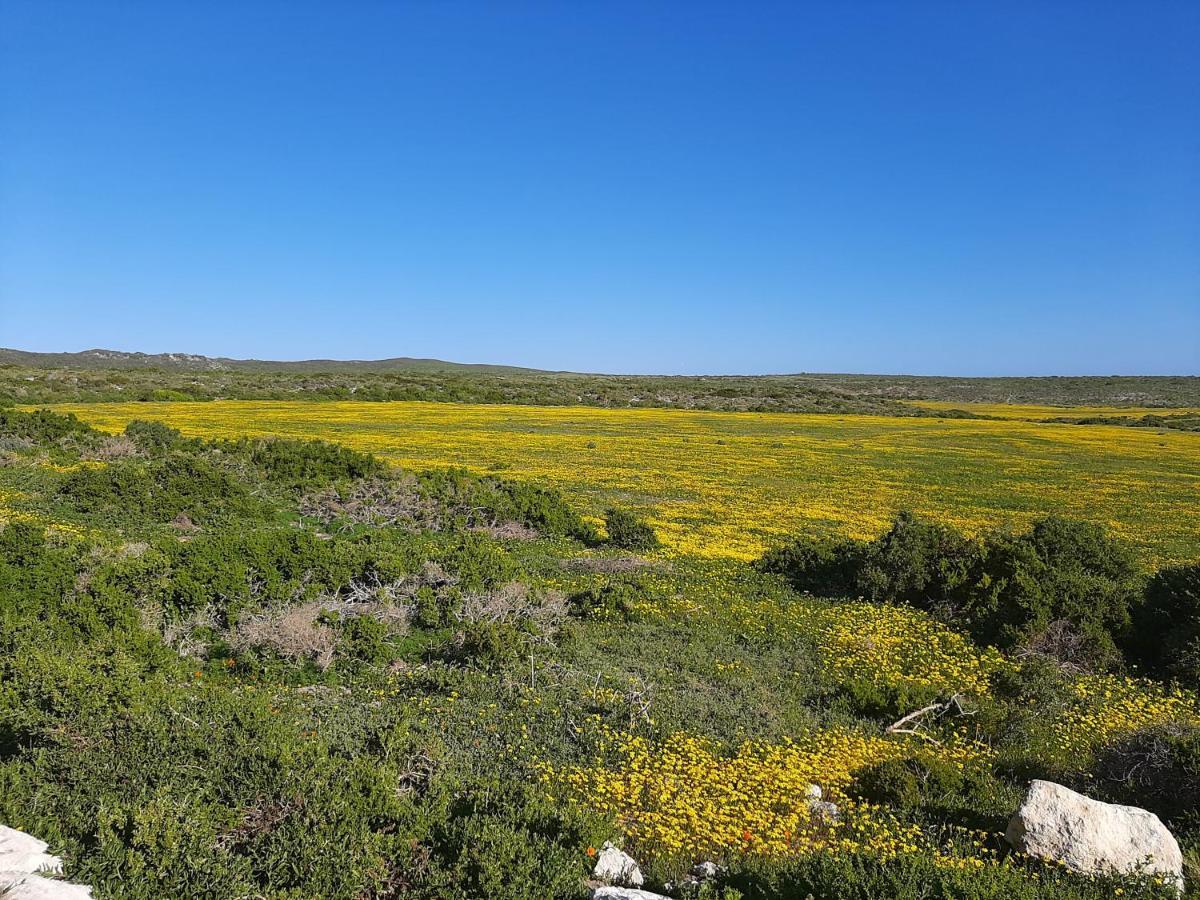 Milk Thistle Loft & Studio Apartments Paternoster Buitenkant foto