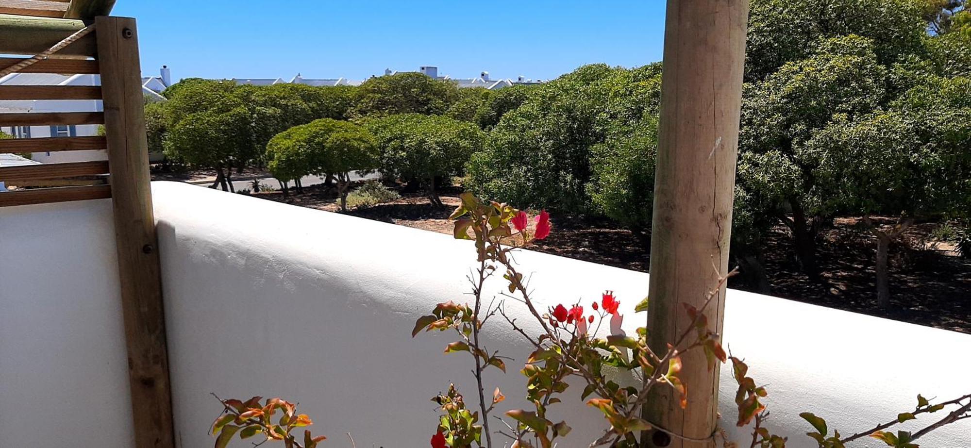 Milk Thistle Loft & Studio Apartments Paternoster Buitenkant foto